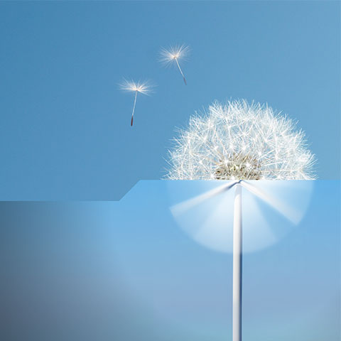 Povećavamo udio obnovljivih izvora energije