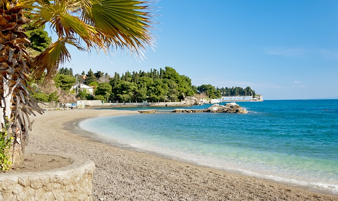 Plaža uz more s palmom i vedrim nebom.